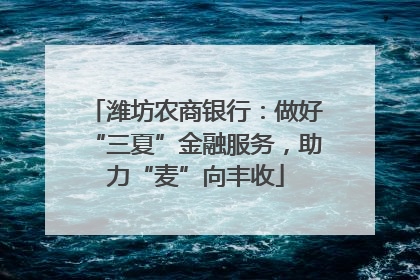 潍坊农商银行：做好“三夏”金融服务，助力“麦”向丰收