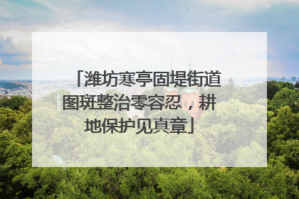 潍坊寒亭固堤街道图斑整治零容忍，耕地保护见真章