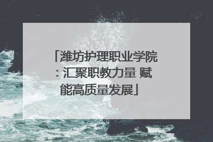 潍坊护理职业学院：汇聚职教力量 赋能高质量发展