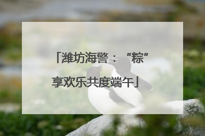 潍坊海警：“粽”享欢乐共度端午