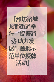 潍坊诸城龙都街道举行“提振消费·助力发展”首批示范单位授牌活动