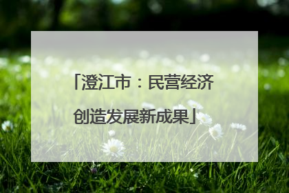 澄江市：民营经济创造发展新成果