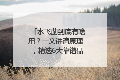 水飞蓟到底有啥用？一文讲清原理，精选6大靠谱品牌助你科学养生