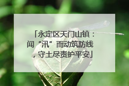 永定区天门山镇：闻“汛”而动筑防线，守土尽责护平安