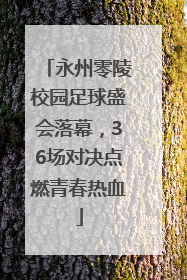 永州零陵校园足球盛会落幕，36场对决点燃青春热血
