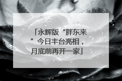 永辉版“胖东来”今日丰台亮相，月底前再开一家