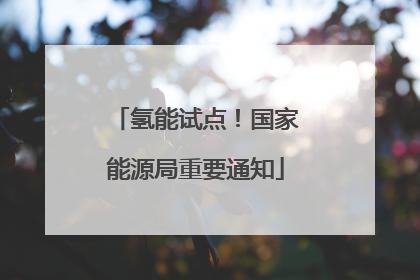 氢能试点！国家能源局重要通知
