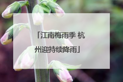 江南梅雨季 杭州迎持续降雨