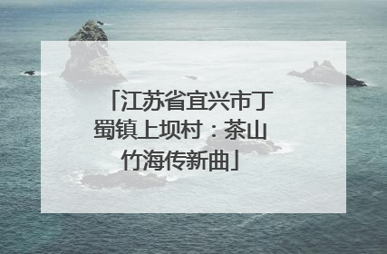 江苏省宜兴市丁蜀镇上坝村：茶山竹海传新曲
