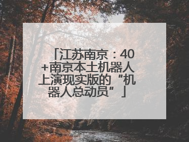 江苏南京：40+南京本土机器人上演现实版的“机器人总动员”