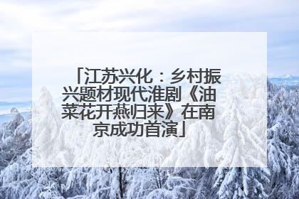 江苏兴化：乡村振兴题材现代淮剧《油菜花开燕归来》在南京成功首演
