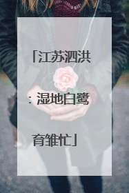江苏泗洪：湿地白鹭育雏忙