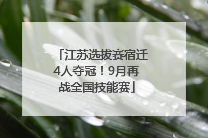 江苏选拔赛宿迁4人夺冠！9月再战全国技能赛
