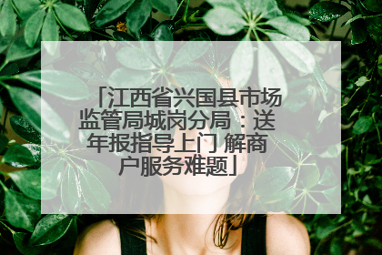 江西省兴国县市场监管局城岗分局：送年报指导上门 解商户服务难题