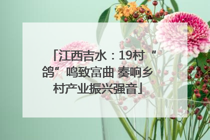 江西吉水：19村“鸽”鸣致富曲 奏响乡村产业振兴强音