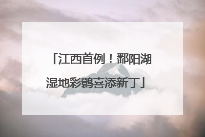 江西首例！鄱阳湖湿地彩鹮喜添新丁