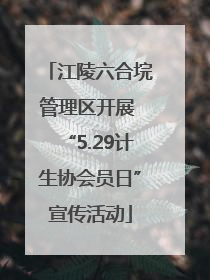 江陵六合垸管理区开展 “5.29计生协会员日”宣传活动