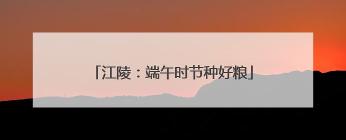 江陵：端午时节种好粮