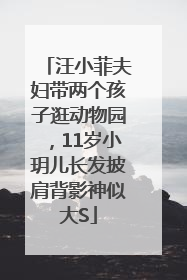 汪小菲夫妇带两个孩子逛动物园，11岁小玥儿长发披肩背影神似大S