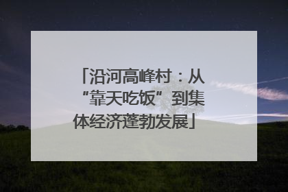 沿河高峰村：从“靠天吃饭”到集体经济蓬勃发展