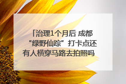 治理1个月后 成都“绿野仙踪”打卡点还有人横穿马路去拍照吗？｜民情瞭望