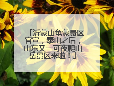 沂蒙山龟蒙景区官宣，泰山之后，山东又一可夜爬山岳景区来啦！