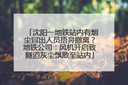 沈阳一地铁站内有烟尘冒出人员捂鼻撤离？地铁公司：风机开启致隧道灰尘飘散至站内
