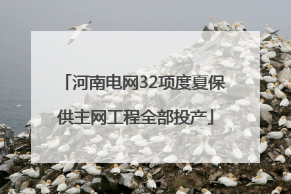 河南电网32项度夏保供主网工程全部投产