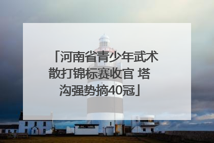 河南省青少年武术散打锦标赛收官 塔沟强势摘40冠