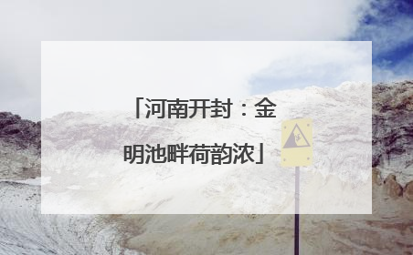 河南开封：金明池畔荷韵浓
