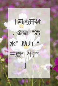 河南开封：金融“活水”助力“三夏”生产