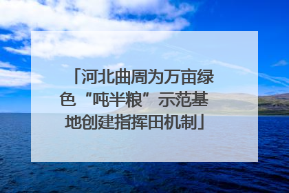 河北曲周为万亩绿色“吨半粮”示范基地创建指挥田机制
