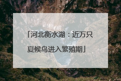 河北衡水湖：近万只夏候鸟进入繁殖期