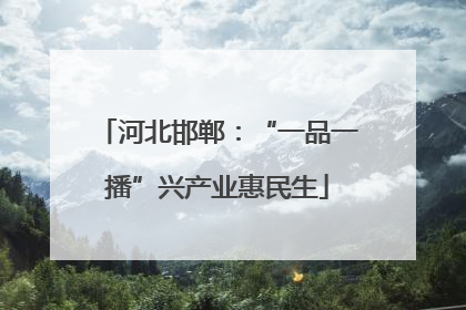 河北邯郸：“一品一播”兴产业惠民生