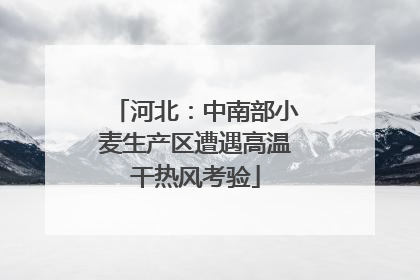 河北：中南部小麦生产区遭遇高温干热风考验
