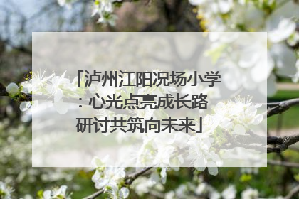 泸州江阳况场小学：心光点亮成长路 研讨共筑向未来