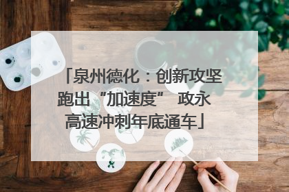 泉州德化：创新攻坚跑出“加速度” 政永高速冲刺年底通车