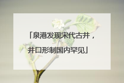 泉港发现宋代古井，井口形制国内罕见