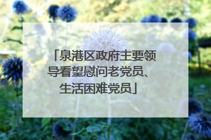 泉港区政府主要领导看望慰问老党员、生活困难党员