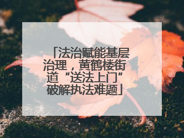 法治赋能基层治理，黄鹤楼街道“送法上门”破解执法难题