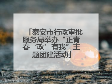 泰安市行政审批服务局举办“正青春‘政’有我”主题团建活动