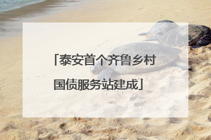 泰安首个齐鲁乡村国债服务站建成