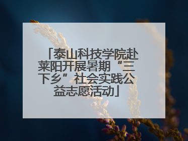 泰山科技学院赴莱阳开展暑期“三下乡”社会实践公益志愿活动