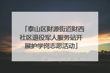 泰山区财源街道财西社区退役军人服务站开展护学岗志愿活动