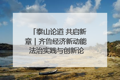 泰山论道 共启新章｜齐鲁经济新动能 法治实践与创新论坛成功举办