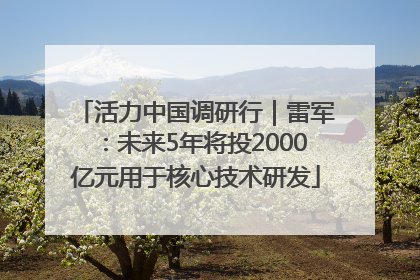 活力中国调研行｜雷军：未来5年将投2000亿元用于核心技术研发