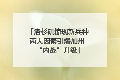 洛杉矶惊现新兵种 两大因素引爆加州“内战”升级