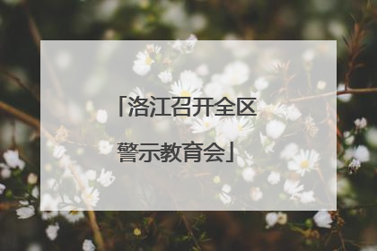 洛江召开全区警示教育会