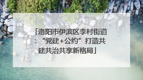 洛阳市伊滨区李村街道：“党建+公约”打造共建共治共享新格局