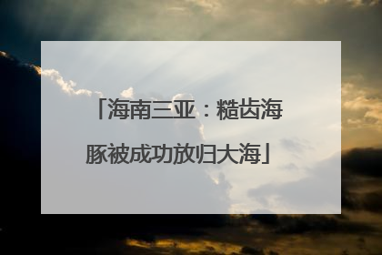 海南三亚：糙齿海豚被成功放归大海